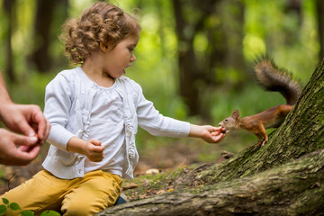 Little beautiful girl sitting on green lawn and feeding squirrel with nuts. Sweet, happy child on a grass in forest. Laughing, enjoying fresh air   © Suzi Media 