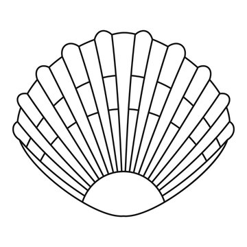 Pearl shell icon. Outline illustration of pearl shell vector icon for web