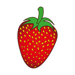 strawberry fruit icon image vector illustration design 