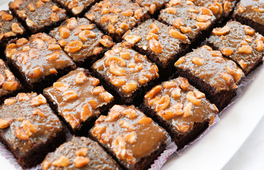 homemade chocolate brownies or chocolate cakes with nuts on whit