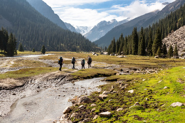 Group of hikers in mountains.