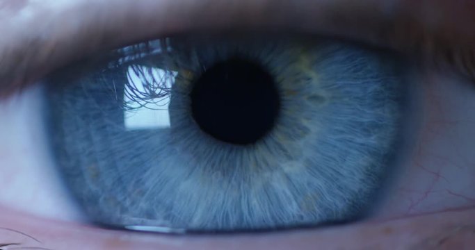 perfect blue eye macro in a sterile environment and perfect vision in resolution 6k,  concept, the vision of the future and healthy life concept. view precise and straight to the target.