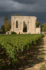 Fototapeta na wymiar Vineyards of Saint Emilion with ruined church, Bordeaux, France