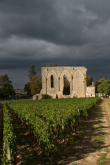 Fototapeta na wymiar Vineyards of Saint Emilion with ruined church, Bordeaux, France