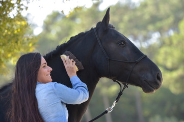 Woman grooming black horse the equestrian center