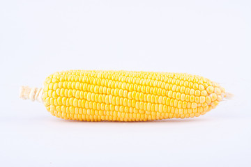 sweet corn on cobs kernels or grains of ripe corn on white background  vegetable isolated
