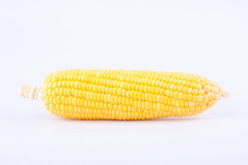 sweet corn on cobs kernels or grains of ripe corn on white background  vegetable isolated
