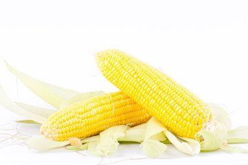 yellow ear of  sweet corn on cobs kernels or grains of ripe corn on white background  vegetable isolated
