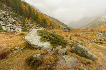 walking at fall in a cloudy day in a mountain valley