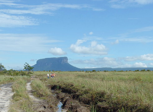 Treeking in the Gran Sabana / trekking in Venezuela's Gran Sabana, returning to visit Angel Falls

