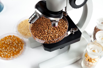 Laboratory for food analysis buckwheat test no one