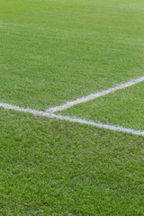 Obraz premium Football field