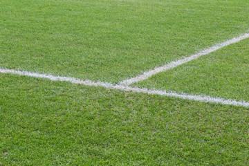 Obraz premium Football field