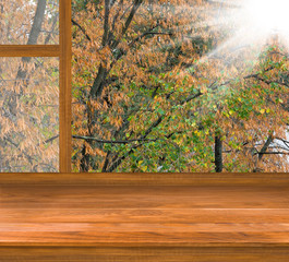 autumn trees seen through view of window
