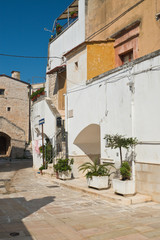 Alleyway. Sammichele di Bari. Puglia. Italy. 