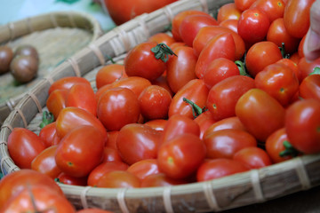 tomato fruit at safety agriculture fair