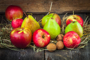 apples, pears in the hay
