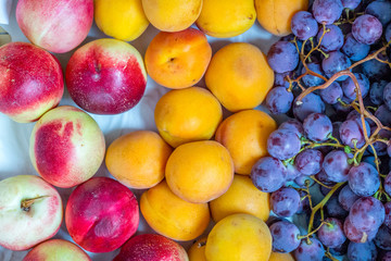 Multifruit, Top View Diet, Healthy Breakfast, Free Space for Text