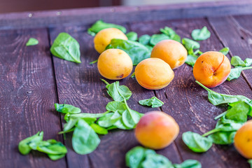 Apricots with Leafs on Dark Brown Wooden Background