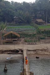 monks crossing bamboo bridge