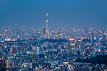 Shinjuku Ward skyline in Tokyo, Japan.