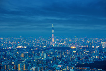 Fototapeta premium Shinjuku Ward skyline in Tokyo, Japan.