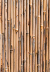 bamboo fence