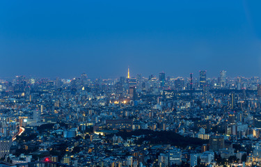 Shinjuku Ward skyline in Tokyo, Japan.