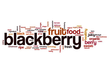 Blackberry word cloud