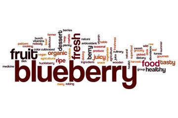 Blueberry word cloud