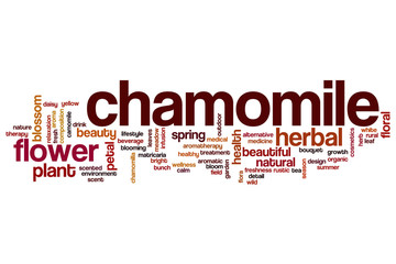 Chamomile word cloud