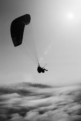 Flying paraglide. Black and white