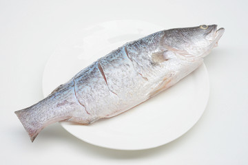 seabass or barramundi fish on white background   © mayura_ben