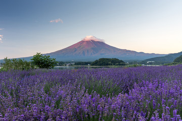 Mount fuji at Lake kawaguchiko. Milky Way. fuijsun in japan.