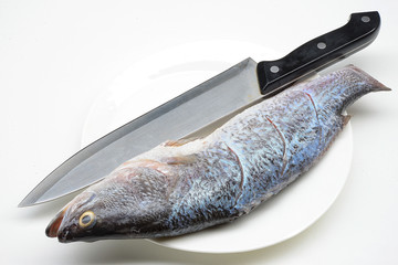 seabass or barramundi fish on white background   © mayura_ben