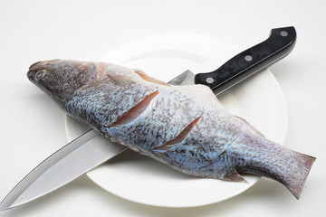 seabass or barramundi fish on white background   © mayura_ben