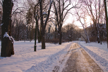 Snowy path in park