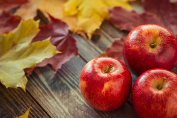 Red autumn apples with maple leaves on wooden table