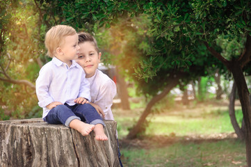 Brothers in the park, Jr. sits on the stump, big brother next to
