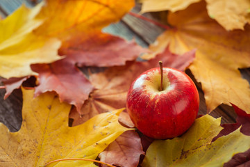 Red autumn apples with maple leaves on wooden table