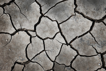 Dry Cracked Earth Texture Background
