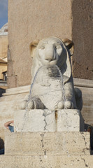Lion Fountain, Piazza del Popolo