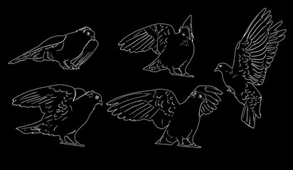 five white sketches of doves
