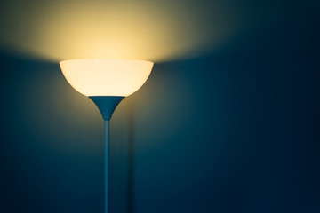 Light lamp growing in the room vintage color