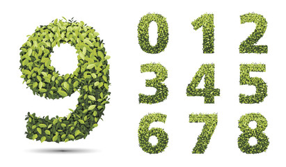 Numbers of autumn leaves collection. Fall bright green leaves el