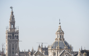 Fototapeta premium Giralda and Seville Saint Mary of the See Cathedal, Seville, Spa