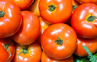 red tomatoes background. Group of tomatoes