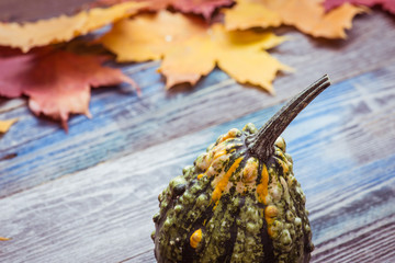 Decorative gourd on a dark wooden table