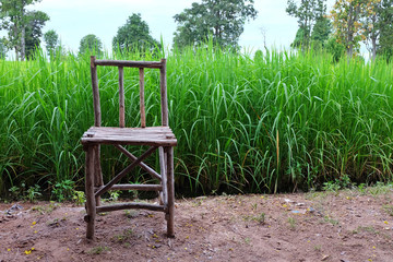 Fototapeta na wymiar Wooden chair on rice plant background. countryside in thailand.