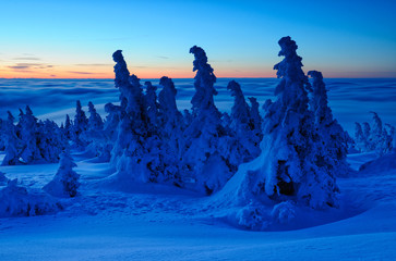 Sonnenaufgang über den Wolken, tief verschneite Winterlandschaft auf dem Gipfel des Brockens im...